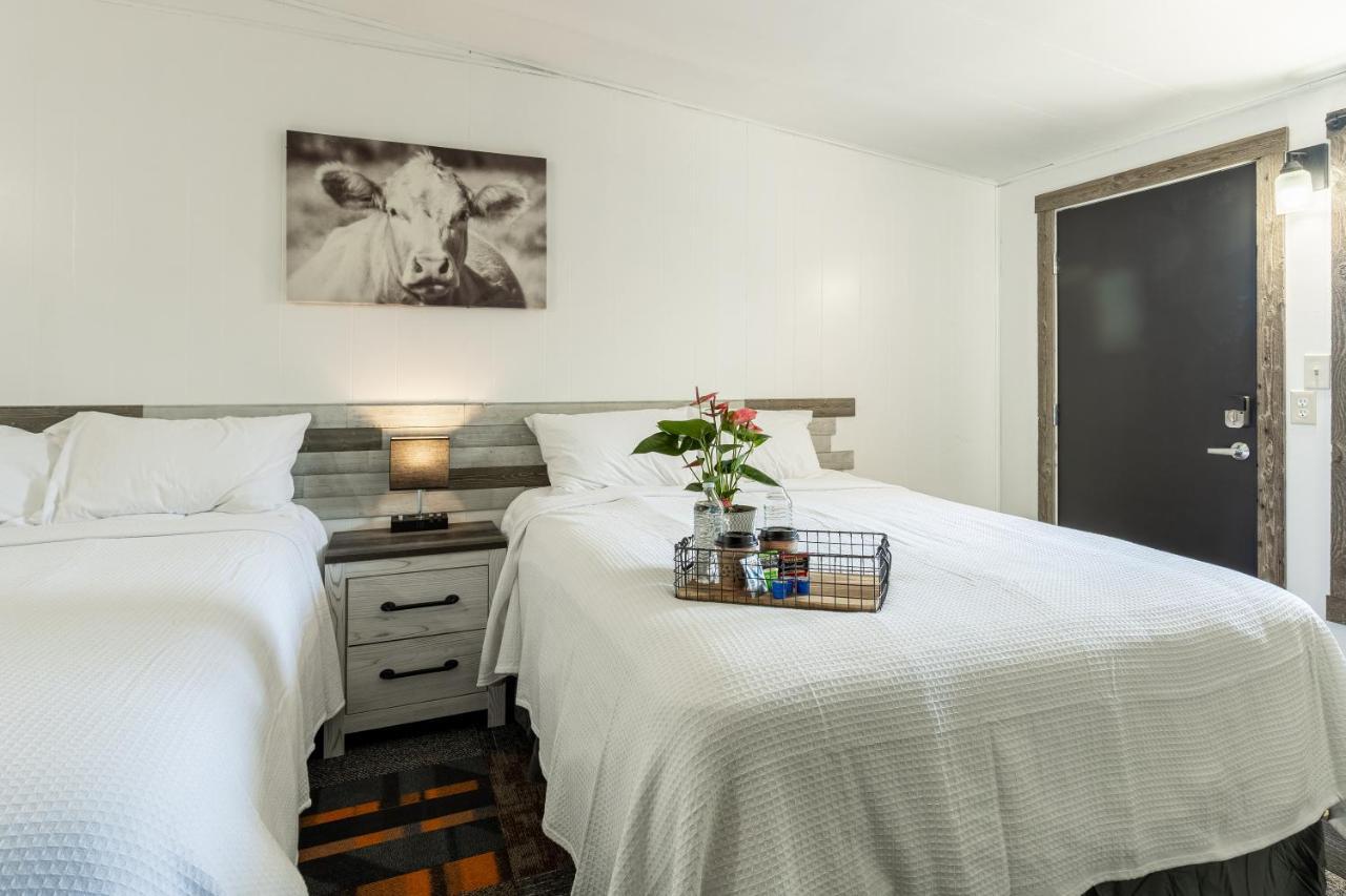אנקונדה Copperhead Lodge מראה חיצוני תמונה